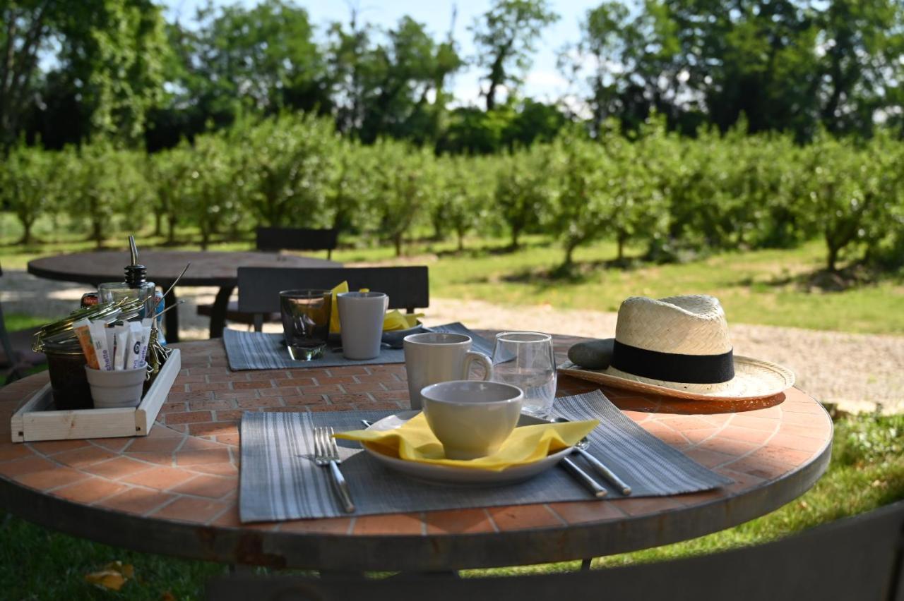 Mas De Capelou Bed & Breakfast Avignon Bagian luar foto